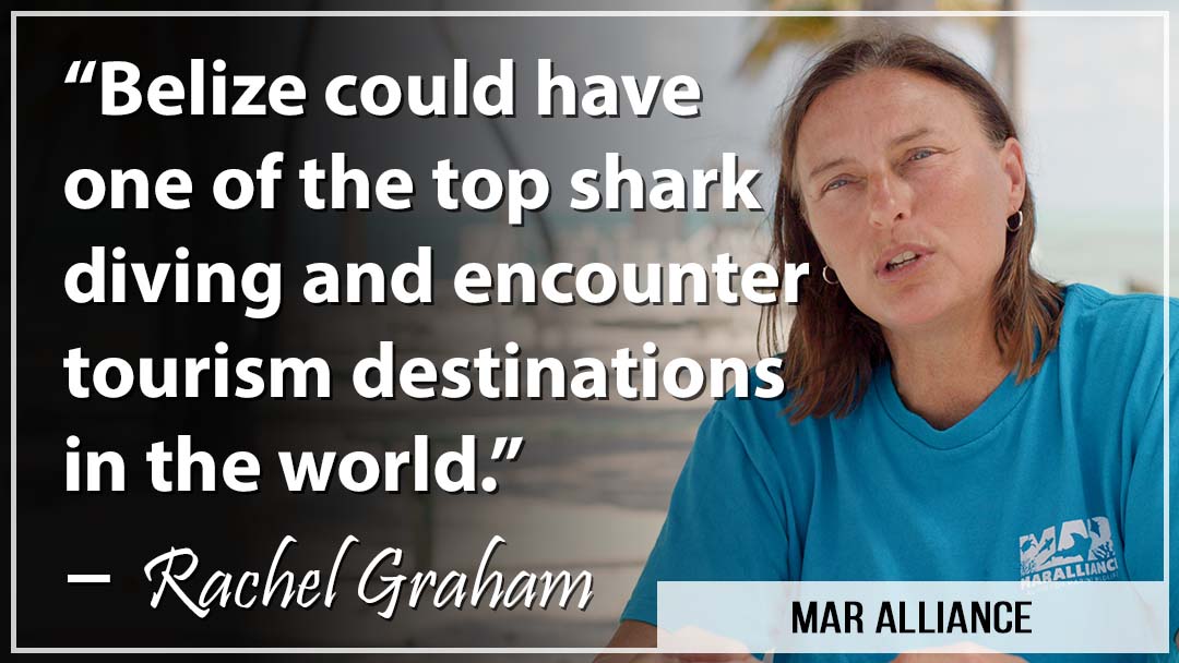 "Belize could have one of the top shark diving and encounter tourism destinations in the world." -- Rachel Graham, MarAlliance.